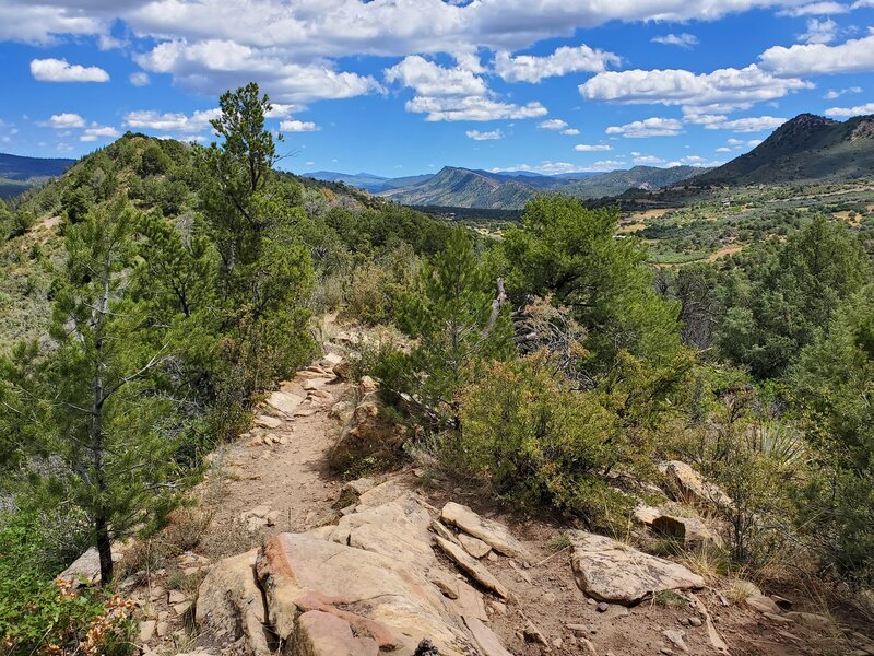 Views open up the higher you go on the ridge.