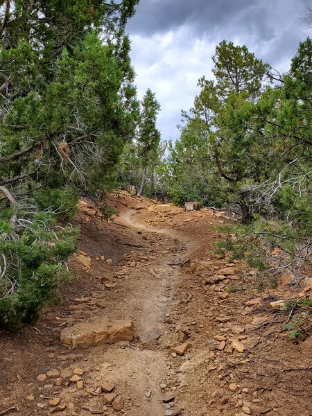 Final twisty section of Rocky Road.