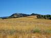 Huge pretty meadow as viewed from Carbon Junction trail.