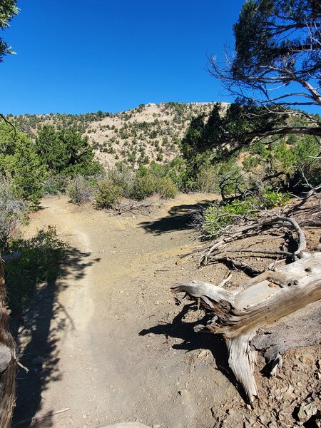 Looking across at Pautsky Point.