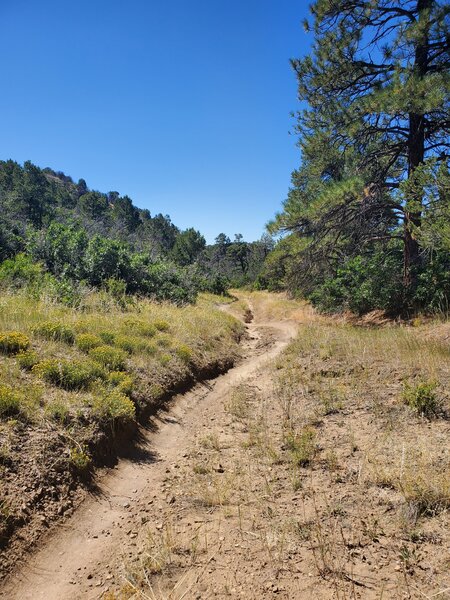 The upper section of Sidewinder can be rutted in areas.