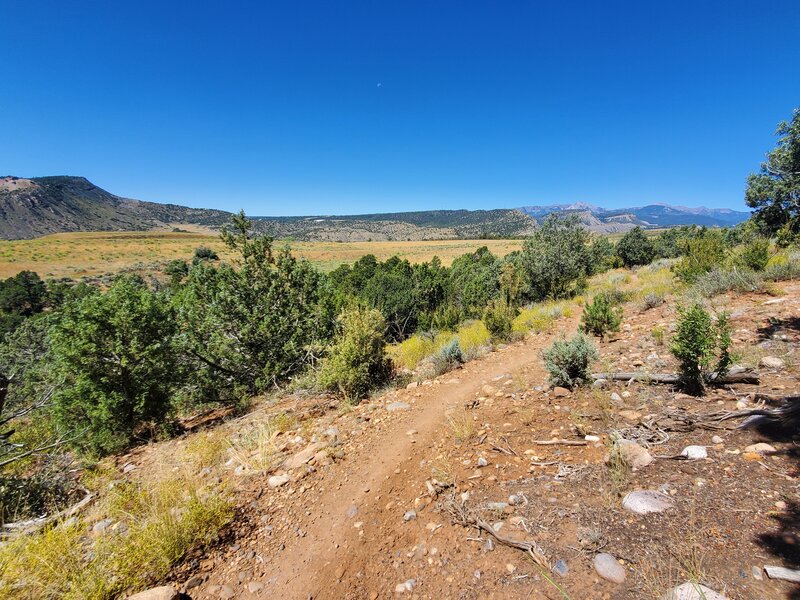 Views north towards the La Platas.