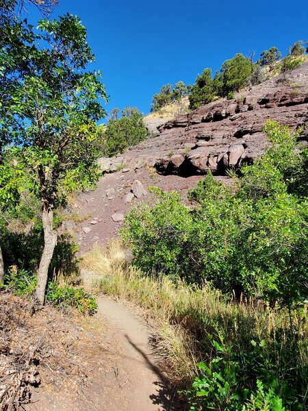 Cool red cliff section of Big Canyon Trail.