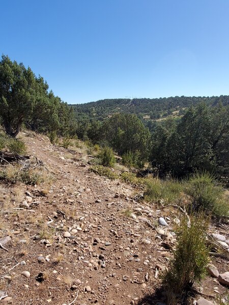 Looking northeast (up-canyon) from the South Rim Trail.