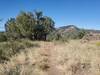 Open, grassy terrain up on the mesa.