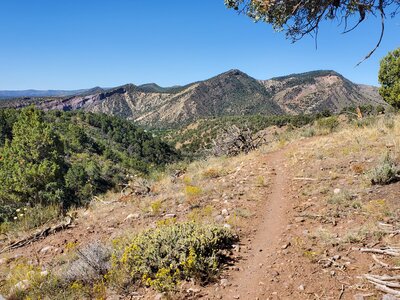 Nice easy trail surface on South Rim.