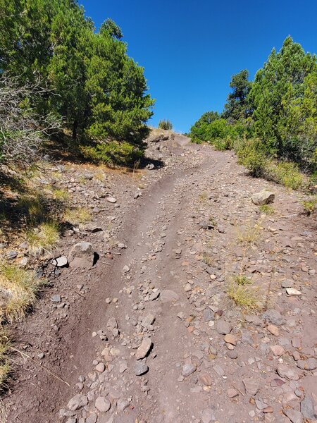 Loose and rocky steeper section of Dirt Lover.