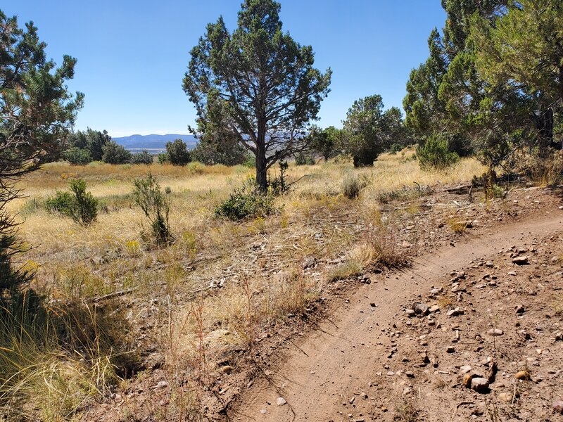 Near the southern tip of the mesa on Cowboy.