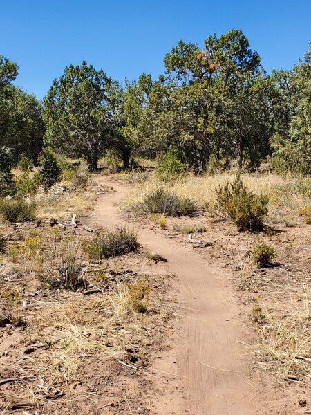 Heading along the re-routed section of lower Cowboy.