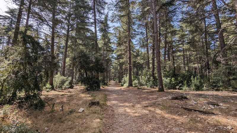 Portalas Viewpoint Trail