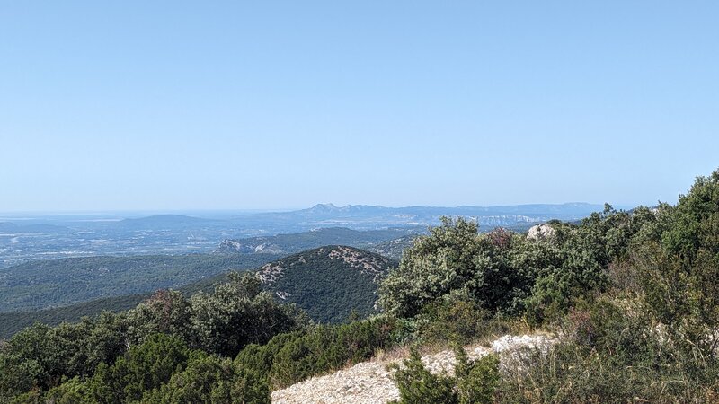 Portalas Viewpoint