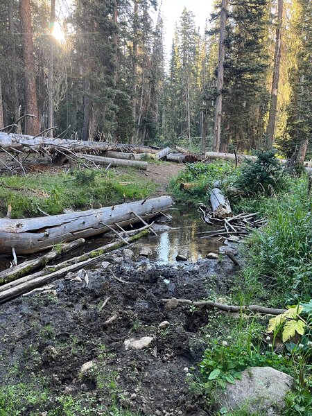 Creek crossing along the trail.