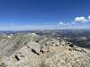 Top of Mount Massive. There is a marmot in the picture.