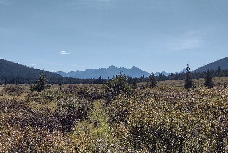 The willow covered meadows surrounded by forested mountains, of Glacier Pass Trail. Rugged peaks are silhouetted in the distance to the southeast.