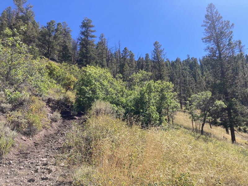 Steady climb up the canyon hillside.