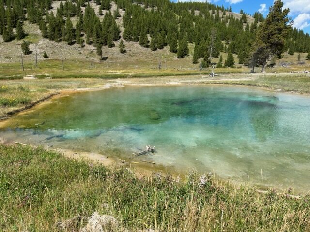 Geyser pool before the Fairy Falls trail.