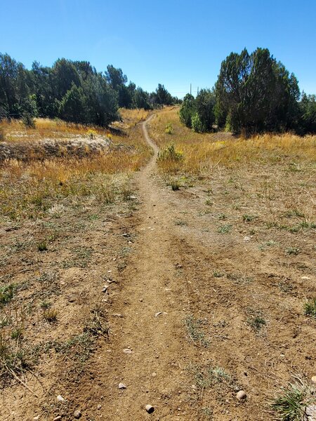 Water Tank Road looking south.