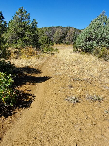 Smooth easy travel on the Water Tank West trail.