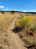 Looking east along the fenceline on Pop Top.