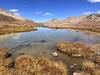 Grizzly Lake on 9/26/23