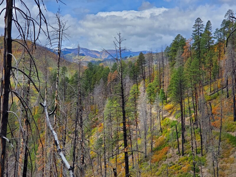 Early October dusting of snow on peaks towards the west.