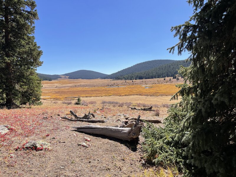 Campsite at 39° 1'34" N 106°9'24" W.