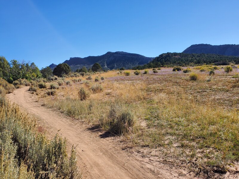 At the edge of the mesa, looking up at Pautsky Point.