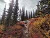 Dramatic feel of winter coming, as we climb high over rock, surrounded by the reds of autumn, and a dark winter sky.