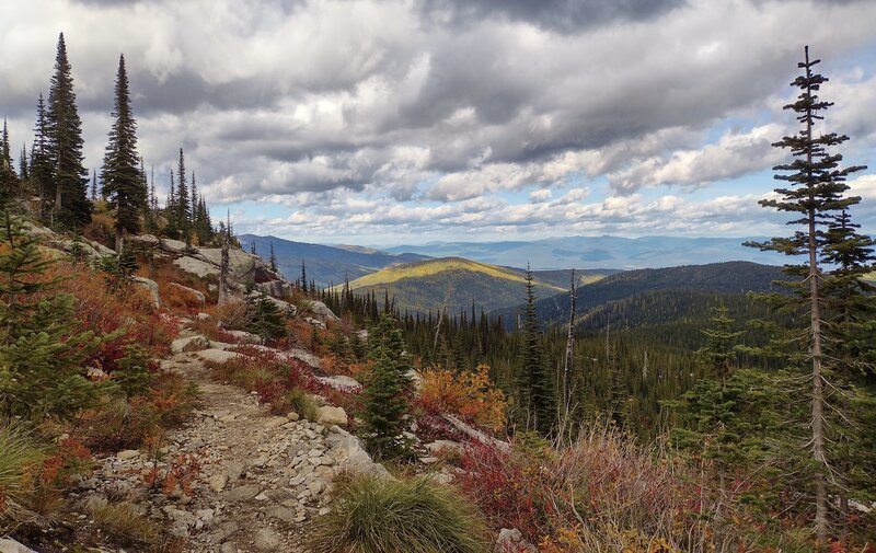 Nearby forested foothills dotted with the bright yellow larch of autumn, with the Kootenai River Valley and Purcell Mountains in the distance. Seen from switchbacks that climb up the Roman Nose Lakes scenic loop, as it shows off its fall colors.