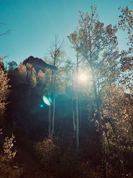 Fall cave trail view.