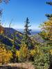 Looking south in mid-October at the changing colors.