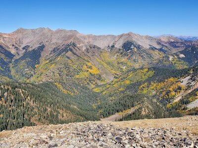 Amazing fall colors in the La Plata Mountains.