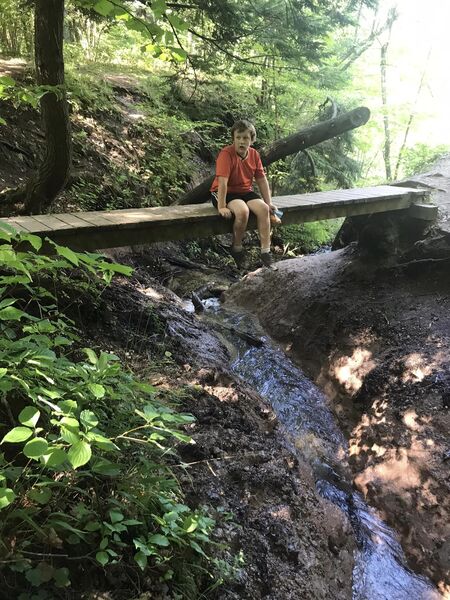 The bridge above the small waterfall.