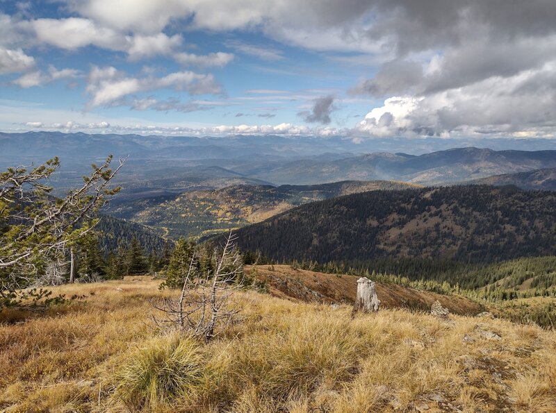 Idaho's Selkirk Mountains meet the sky in the far distance to the west. Seen from Mount Pend Oreille summit in the Cabinet Mountains. Fir forested foothills dotted with yellow larches in October, are seen below.