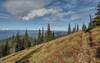 Near the ridge top, heading north on Pend Oreille Divide Trail, the views of forested hills and valleys to the west are awe inspiring. In the far distance where the clouds meet the sky, are Idaho's Selkirk Mountains.