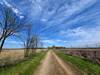 Big summer sky over Blaine Road.