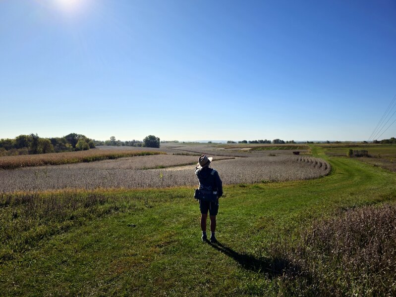 Early fall on the Farm Loop Trail.