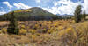 Panoramic view of the meadow.
