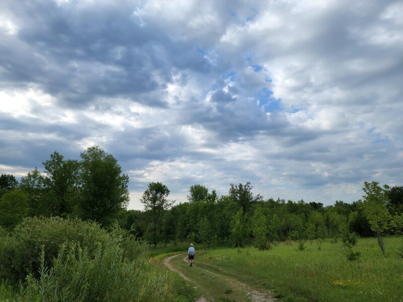 On the trail south of the Springview Trailhead.