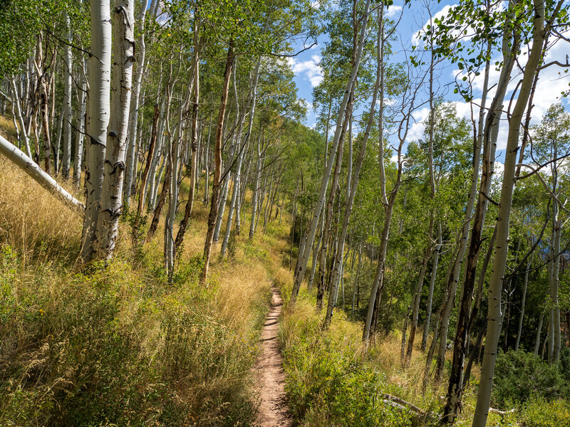 The Mill Creek Waterline Trail contours nicely along the mountainside.