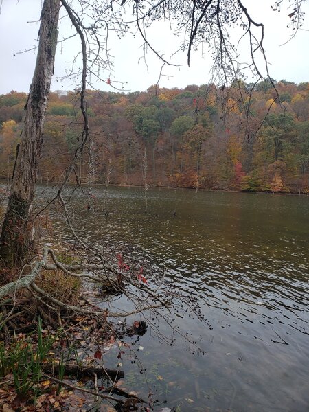 Lake near Delaney Park Campground.