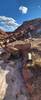 Petrified Wood on the Onyx Bridge Trail.