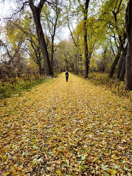 On the Long Meadow Lake Trail in late fall.