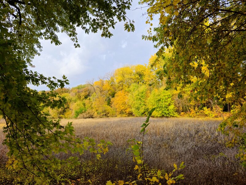 Big Bass Pond in the fall.