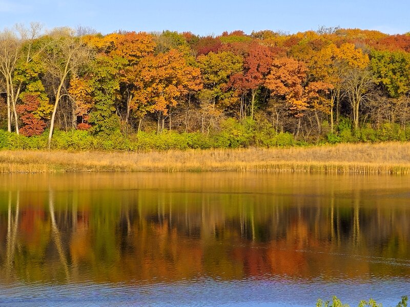 Fall colors illuminate Pond "C"