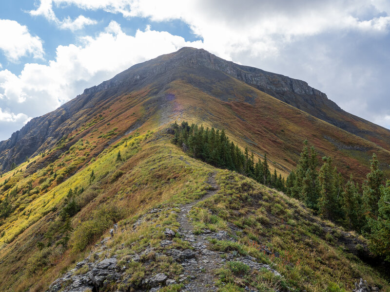 Looking up the summit ridge to Ballard Mountain.