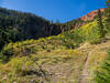 Views along the Gary Copper Trail.