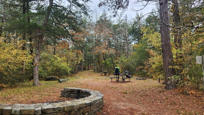 Cedar Glade