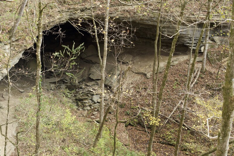 Bunkum Cave can be seen from the observation platform. Cordell Hull's father made moonshine in this cave.