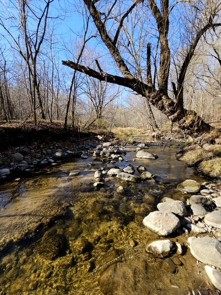 Clear waters in Seven Mile Creek.